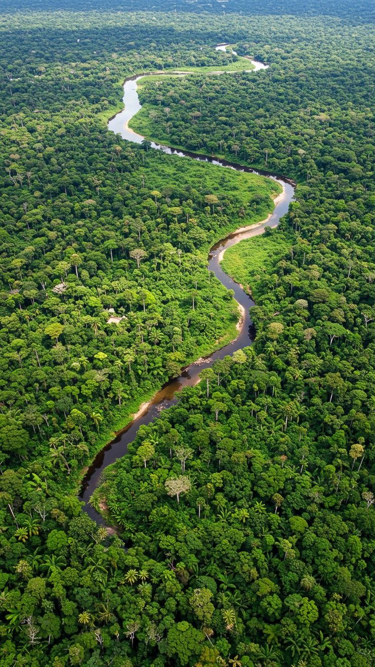Amazonas (Leticia)